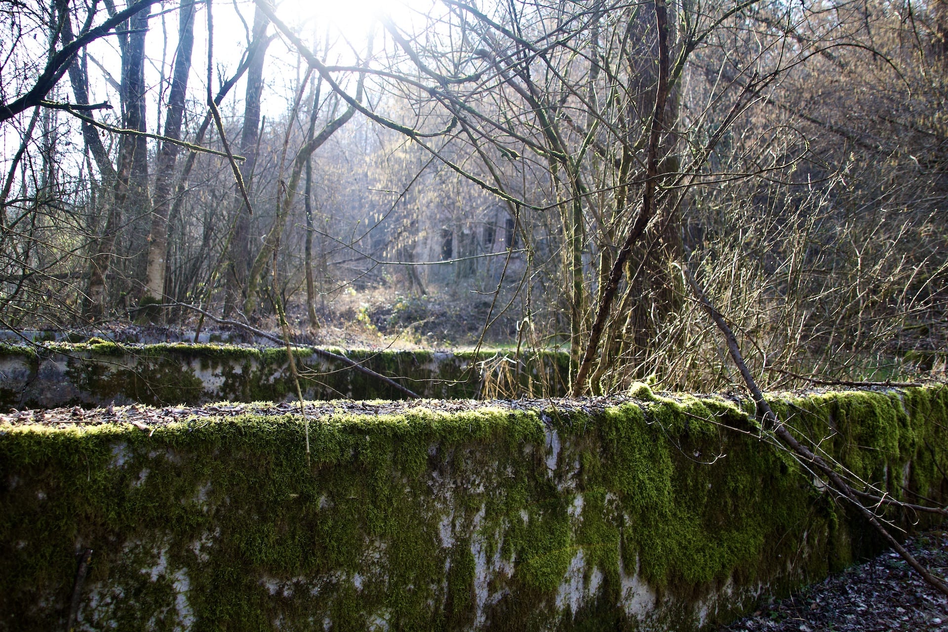 I muri di contenimento delle vasche per l'itticoltura a Ul Murinell, Ligurno di Cantello
