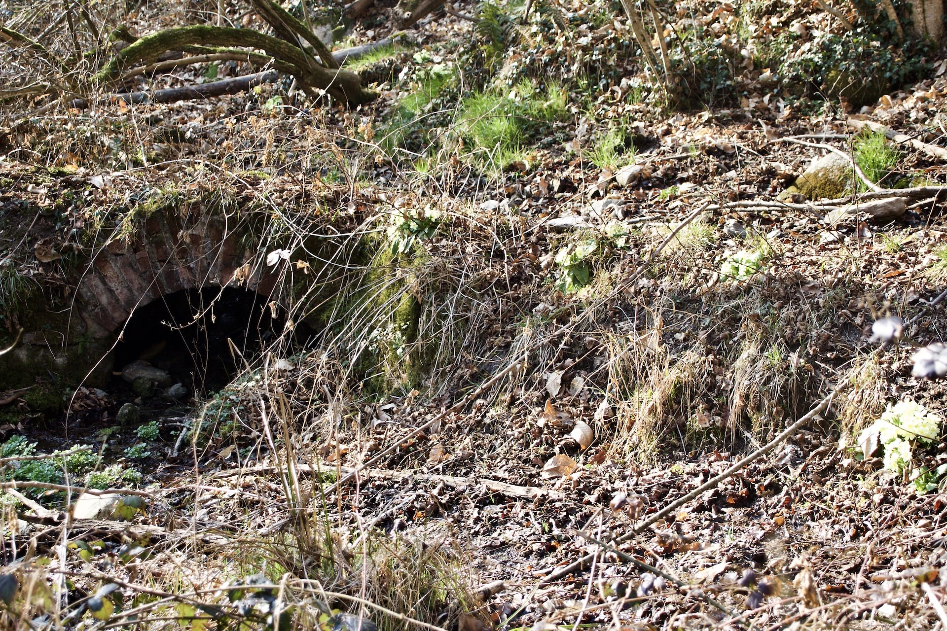 Acqua Magnesia, Ligurno di Cantello: la strada che conduceva allo stabilimento di conceria.