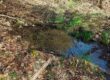 L'acqua Magnesia fotografata il 25 febbraio 2023 a Ligurno di Cantello - Legambiente Cantello