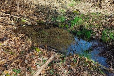 L'acqua Magnesia fotografata il 25 febbraio 2023 a Ligurno di Cantello - Legambiente Cantello