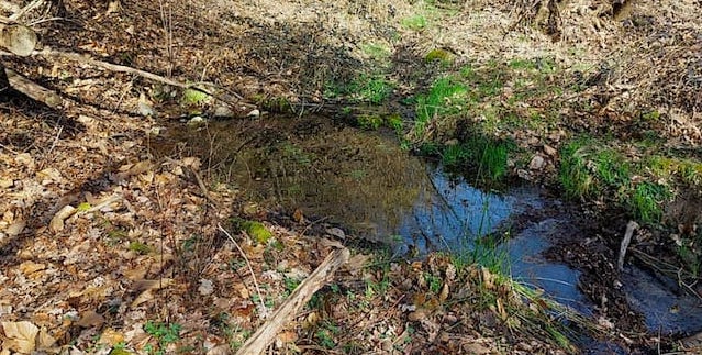 L'acqua Magnesia fotografata il 25 febbraio 2023 a Ligurno di Cantello - Legambiente Cantello