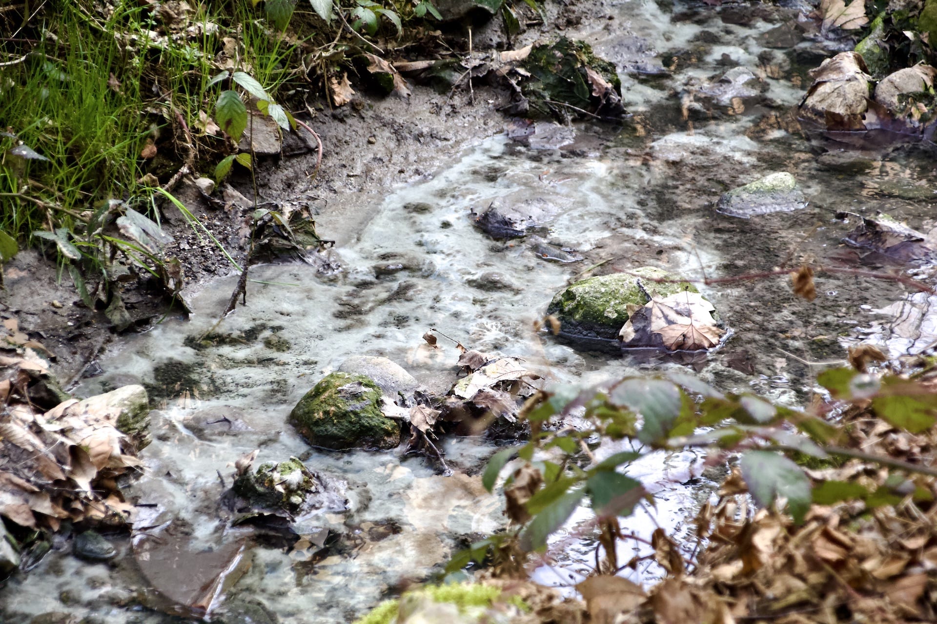 reflui fognari che versano nel Rio dei Gioghi 04