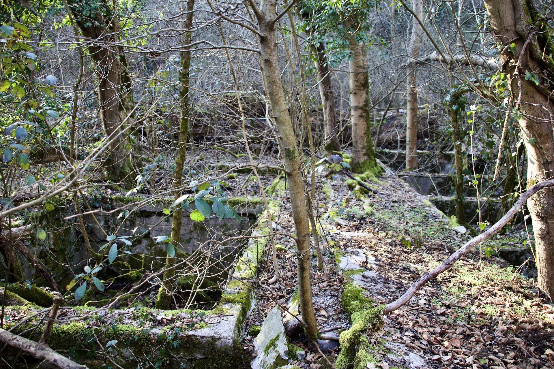 I resti delle vasche per la concia del cuoio presso lo stabilimento Il Cuoio Razionale all'Acqua Magnesia di Ligurno-Cantello.