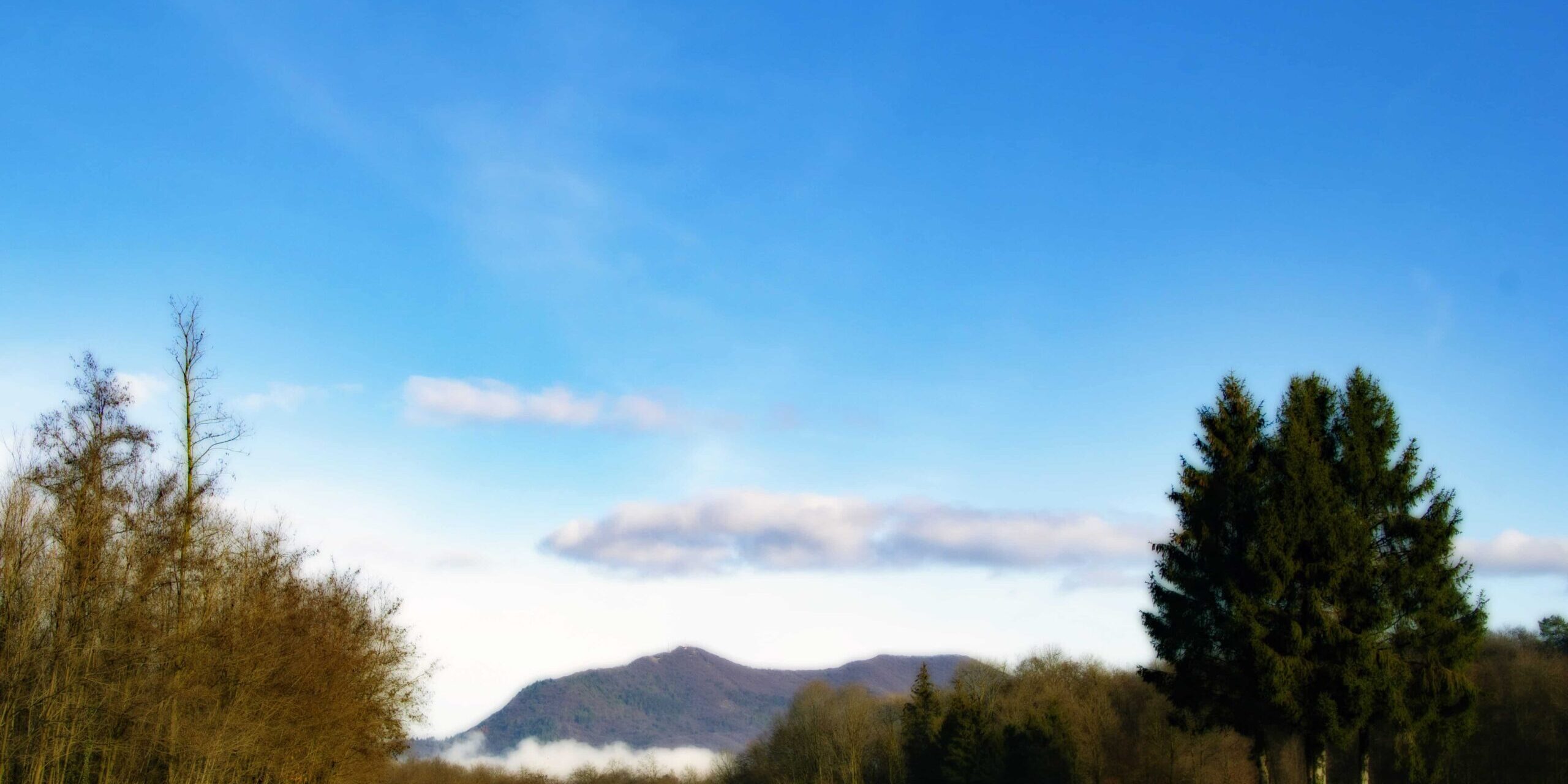 prato dietro Paccani Orton foto ampia-min Prato dietro la fattoria Paccani per il Progetto fotografico #CantelloBello