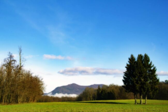 prato dietro Paccani Orton foto ampia-min Prato dietro la fattoria Paccani per il Progetto fotografico #CantelloBello