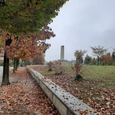 Teresa Lolato - Scatta la bellezza! - Cantello 2025 - 5 novembre 2025